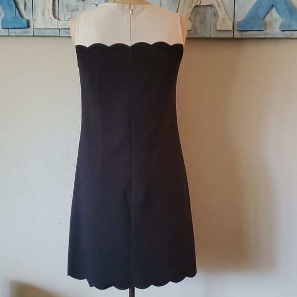 Ann Taylor LOFT Dress - Picture 3 of 6
